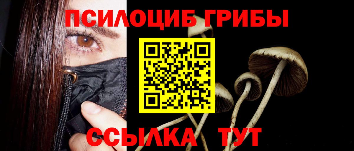 Феодосия  Псилоцибиновые грибы мицелий  Псилоцибиновые грибы Magic Shrooms  Вход с VPN 