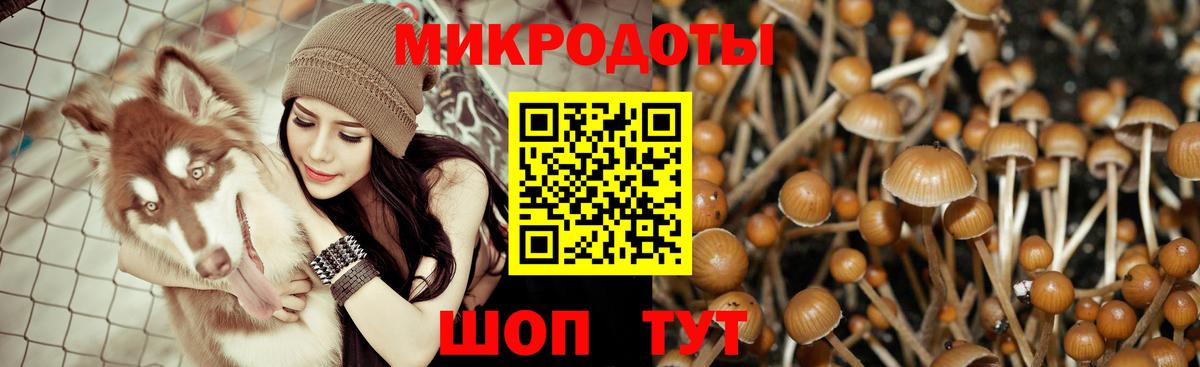 Псилоцибиновые грибы Magic Shrooms Феодосия